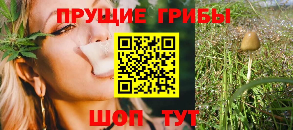 Галлюциногенные грибы мухоморы Киреевск