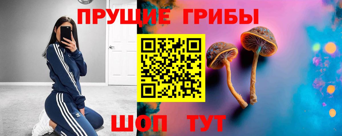Киреевск  Галлюциногенные грибы Psilocybine cubensis  Вход с VPN 